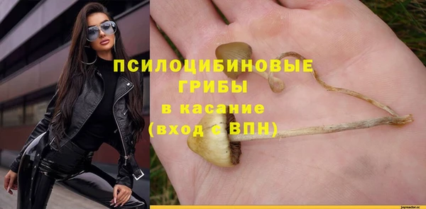 прущая мука Лабытнанги