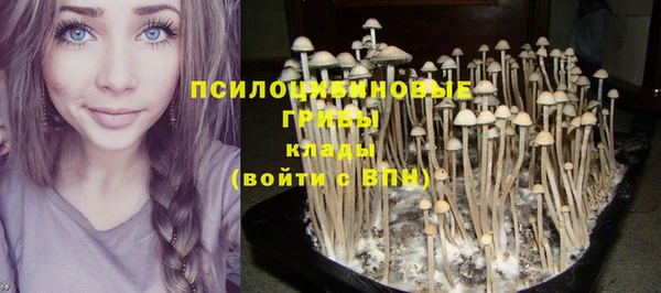 спайс Лихославль