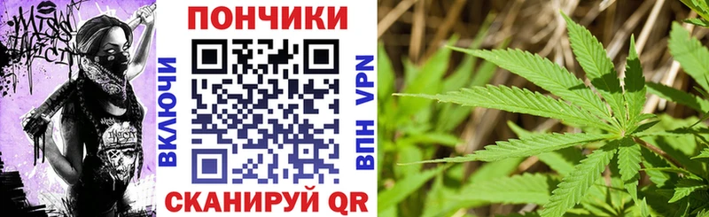 Бошки Шишки семена Курчатов